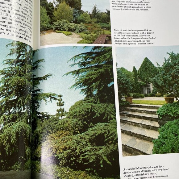 How to Growing Evergreen Plants and Trees Time Life Encyclopedia of Gardening u - Picture 7 of 10